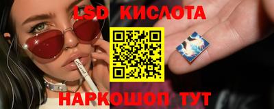 шишки Новозыбков