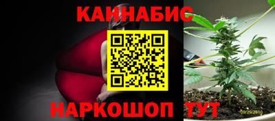 шишки Новозыбков