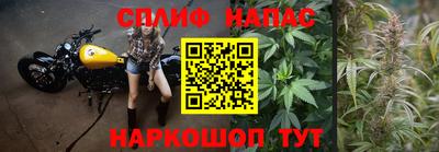 герыч Новокубанск