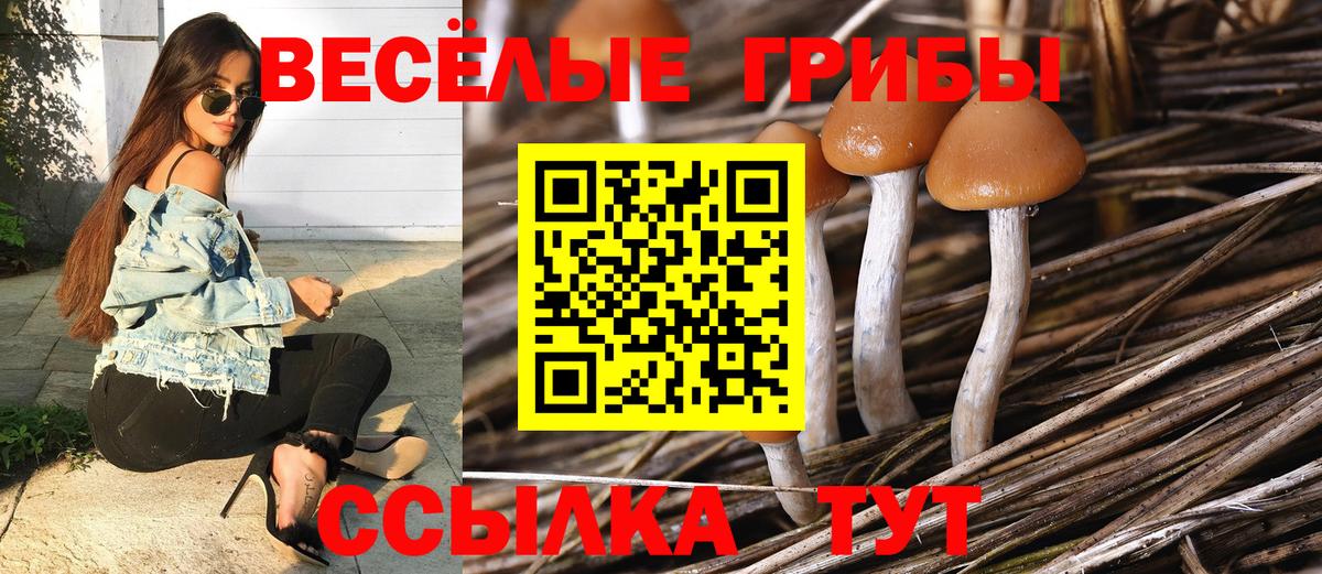 Галлюциногенные грибы MAGIC MUSHROOMS  Вход с VPN  Реутов 