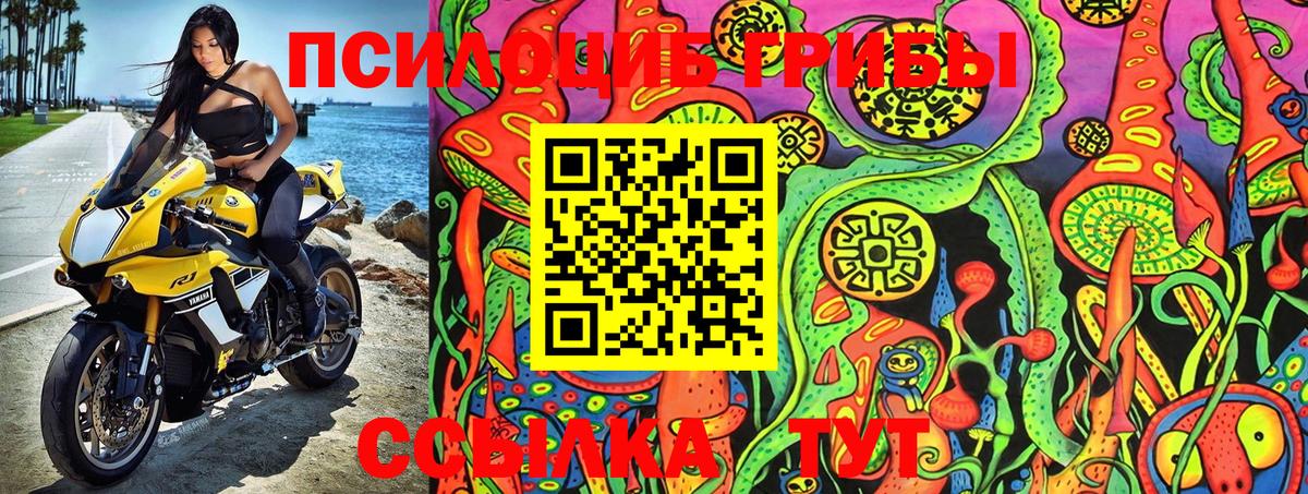 Псилоцибиновые грибы Cubensis Реутов